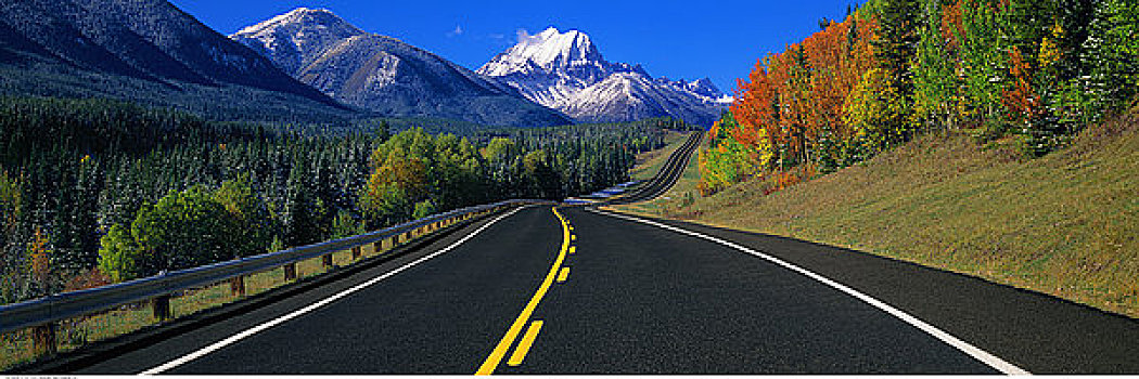 公路,风景,卡纳纳斯基斯县,艾伯塔省,加拿大