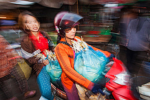 柬埔寨,收获,市场一景,女人,摩托车,鸡