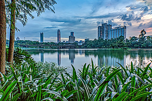 深圳洪湖公园城市夜景