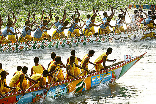 赛船,孟加拉,十月,2009年,流行,娱乐,活动,下雨,季节,民俗,文化