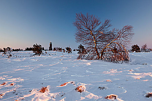 冬季风景,北方,黑森林,巴登符腾堡,德国,欧洲