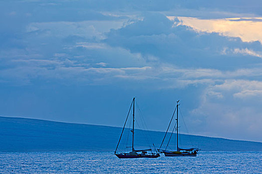 帆船,海洋,拉海纳,毛伊岛,夏威夷,美国
