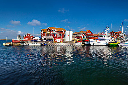 港口,岛屿,省,布胡斯,瑞典,欧洲