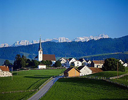 乡村,田园,场景,阿彭策尔,瑞士