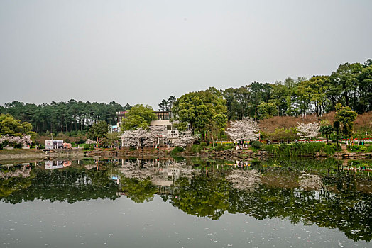湖南省森林植物园风光美景
