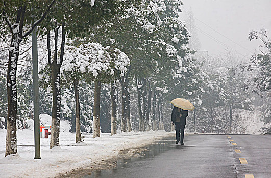 东钱湖,雪景,冬天,下雪,洁白