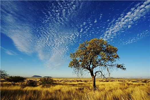 天空,纳米比亚