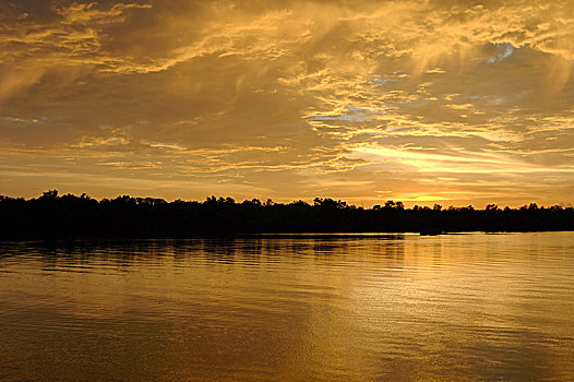 日落,上方,河,雪兰莪州,萤火虫,公园,马来西亚,亚洲