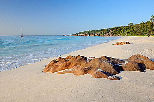 石头,海滩,拉迪格岛,塞舌尔