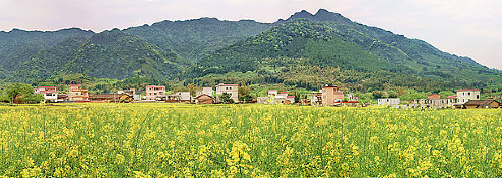 广州从化市