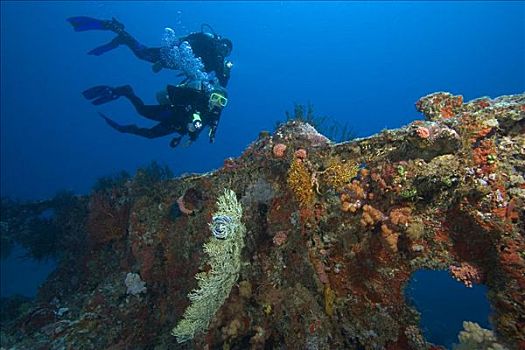 密克罗尼西亚,潜水者,探索,浮漂,残骸