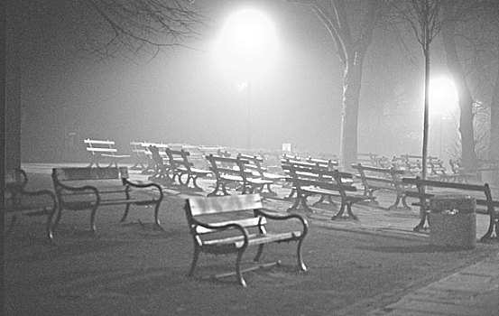 序列,无人,公园,长椅,夜晚,浓厚,雾,他们