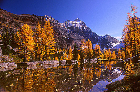 叹为观止,山景,湖,幽鹤国家公园,不列颠哥伦比亚省,加拿大