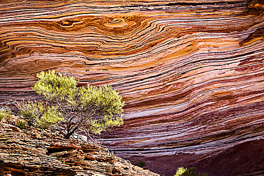 孤木,条纹,摇滚,摇晃,石头,图案,环,卡巴里国家公园,西澳大利亚州,澳大利亚