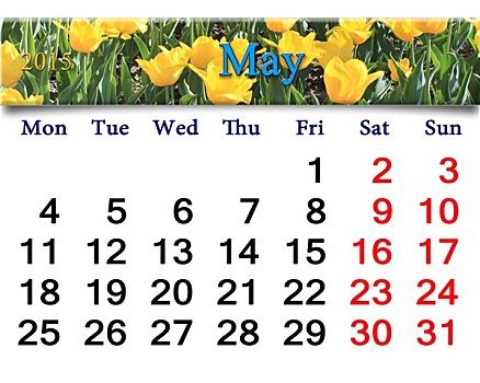 日程,五月,黄色,郁金香