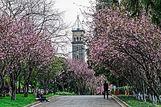 昆明云南大学