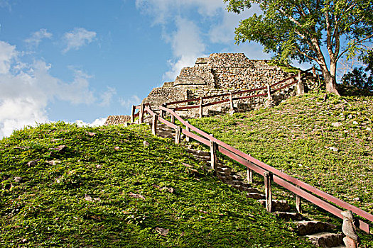 伯利兹,玛雅,遗迹,遗址,台阶,上面,大幅,尺寸