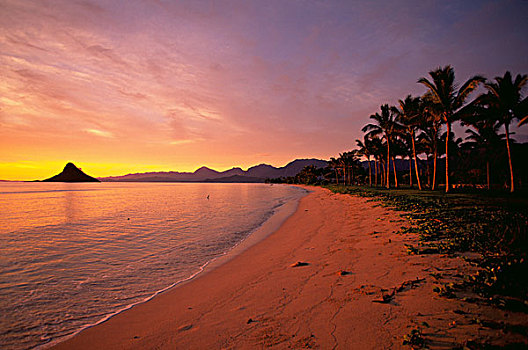 日出,帽子,卡内奥赫湾,卡内奥赫,瓦胡岛,夏威夷