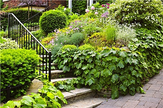 天然石,花园,楼梯
