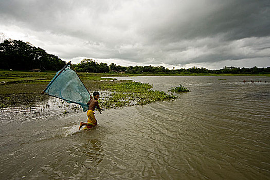 乡村,男孩,湿地,渔网,抓住,鱼,孟加拉,六月,2007年