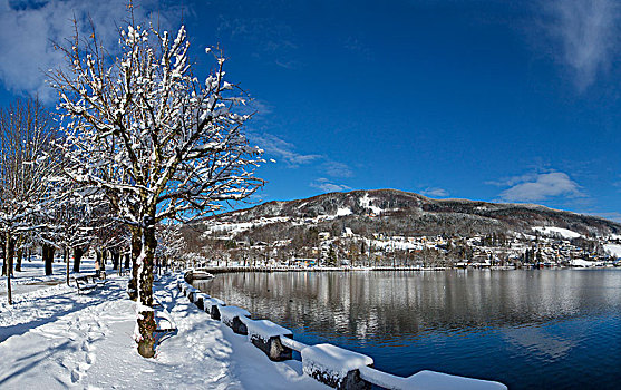 奥地利,上奥地利州,萨尔茨卡莫古特,月亮湖地区,湖岸,散步场所,冬天