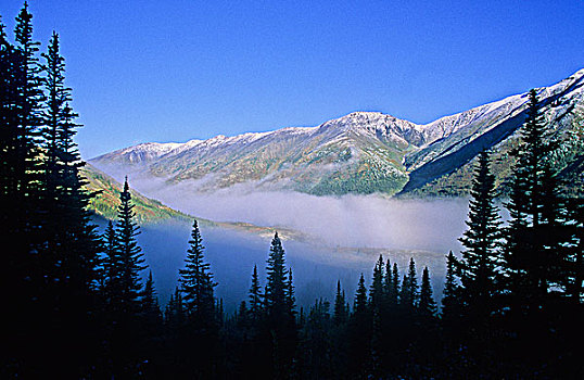 雾,北方,落基山脉,荒野,不列颠哥伦比亚省,加拿大