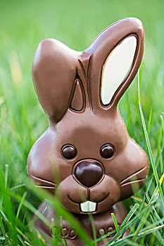 可爱,巧克力兔,草