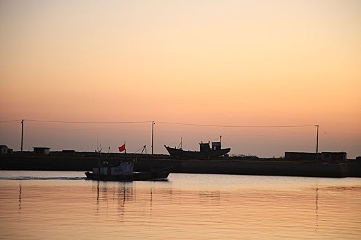 山东省日照市,晨曦里的渔港静谧自然,海鸥迎着朝阳起舞