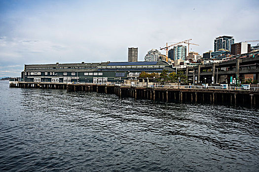 西雅图港口