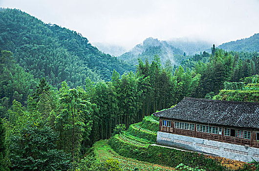 雨雾山景