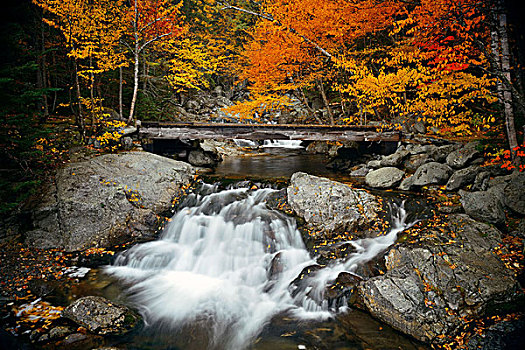 彩色,秋天,溪流,桥,白色,山,新罕布什尔