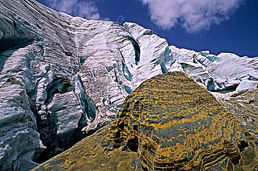 石头,边缘,冰河,罗布森山省立公园,不列颠哥伦比亚省,加拿大