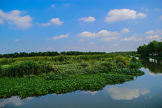 青西郊野公园