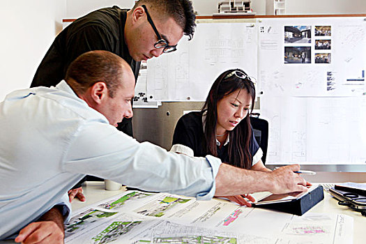 团队,三个,建筑师,看,概念,蓝图,办公室