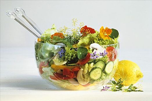 什锦沙拉,蔬菜,琉璃苣,豆瓣菜,花