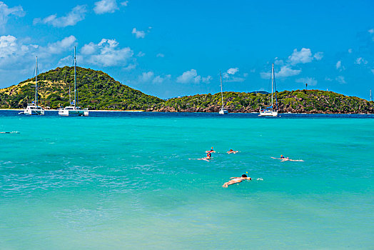 旅游,潜水,青绿色,水,多巴哥岛,格林纳丁斯群岛,加勒比