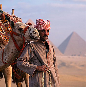 贝多因人,男人,骆驼,吉萨金字塔,埃及