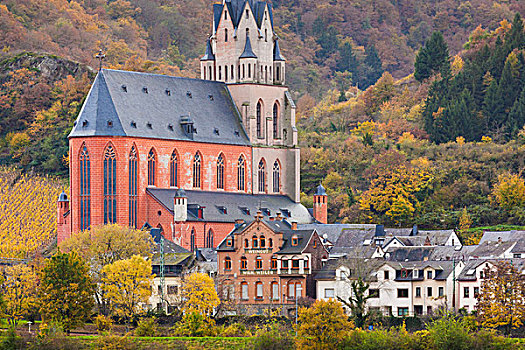 德国,风景,教堂,秋天