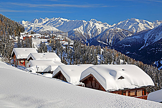 冬季风景,积雪,木制屋舍,背影,阿莱奇地区,瓦莱,瑞士,欧洲