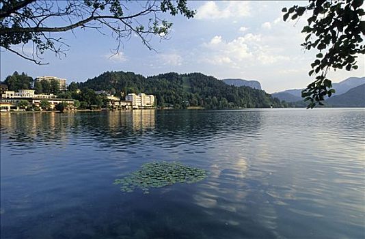 酒店,布莱德湖,区域,斯洛文尼亚