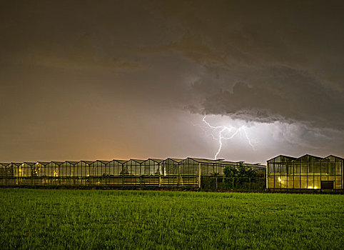 雷暴,上方,温室,荷兰