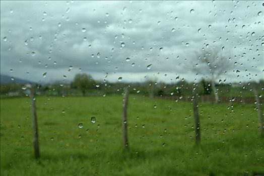 法国,阿基坦,绿色,地点,雨滴,窗格