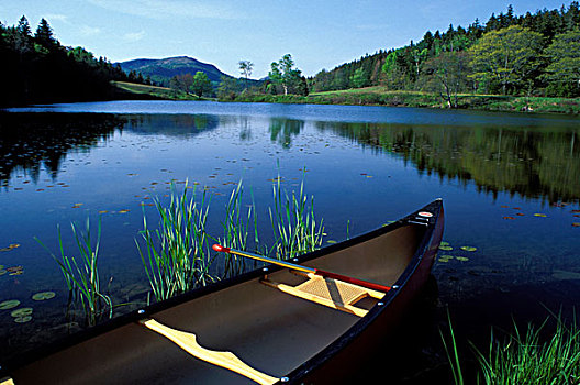 独木舟,休息,岸边,小,阿卡迪亚国家公园,缅因