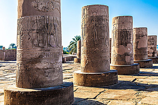 古埃及,庙宇,科昂波,尼罗河