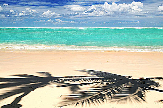 质朴,热带沙滩,棕榈树,影子,加勒比岛屿,彩色,自然