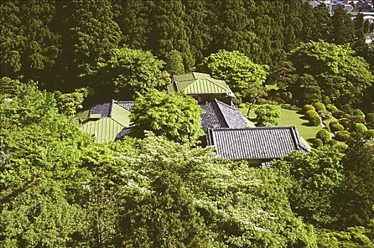 俯拍,旅游胜地,围绕,树,箱根,神奈川,日本