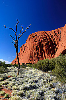 艾尔斯岩,乌卢鲁巨石,特写,北领地州,澳大利亚