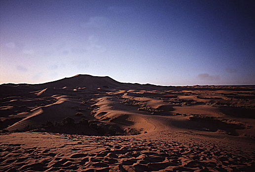 沙,区域,撒哈拉沙漠
