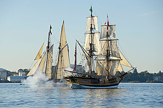 双桅船,女士,华盛顿,维多利亚,温哥华岛,不列颠哥伦比亚省,加拿大
