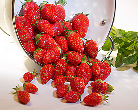 滤器,草莓
